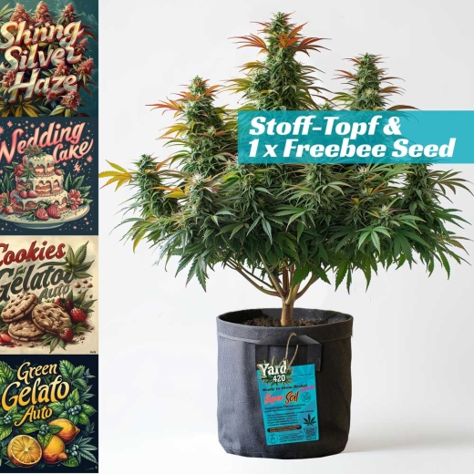Grow Bucket Living Soil organic